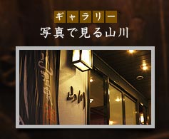ギャラリー