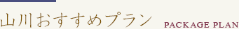 山川おすすめプラン